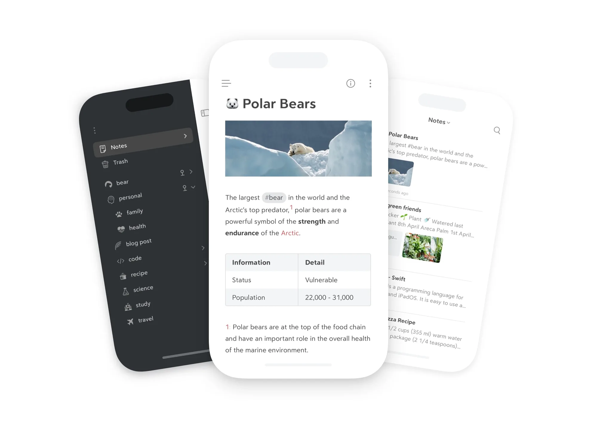 Bear: Markdown notes app with tags, linked notes and to-dos, synced across Mac, iPhone and iPad (8 of 8)