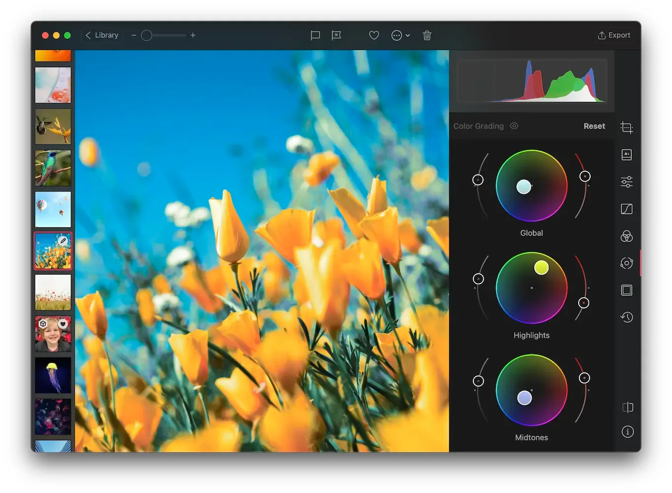 Darkroom: Photo and video editor that works directly on your Apple Photos library, with curves, masks and RAW (8 of 8)
