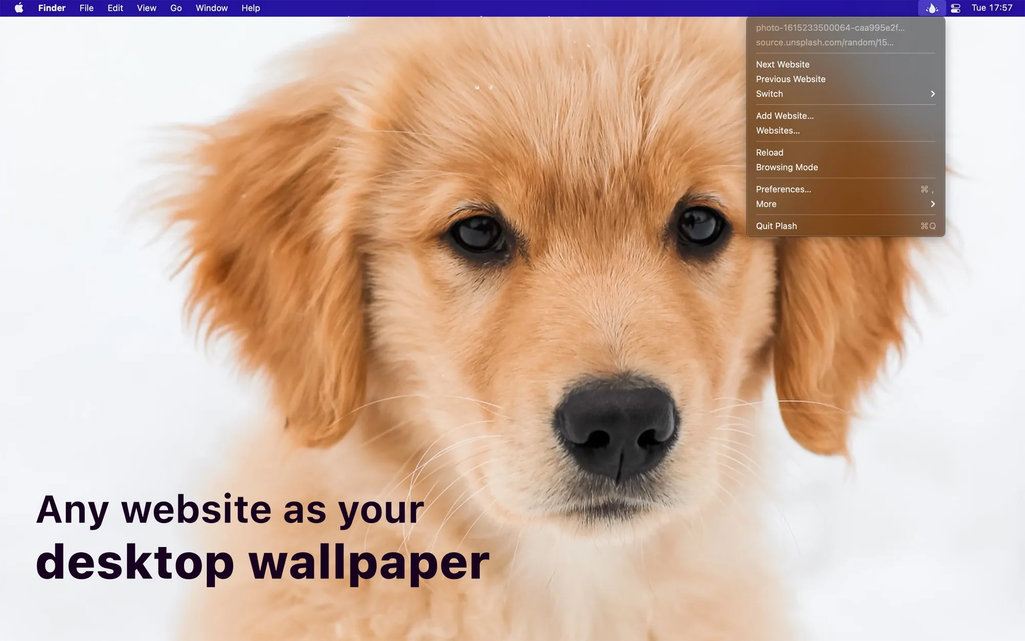 Plash: Sets any website as your desktop wallpaper, from a calendar or dashboard to an animated GIF